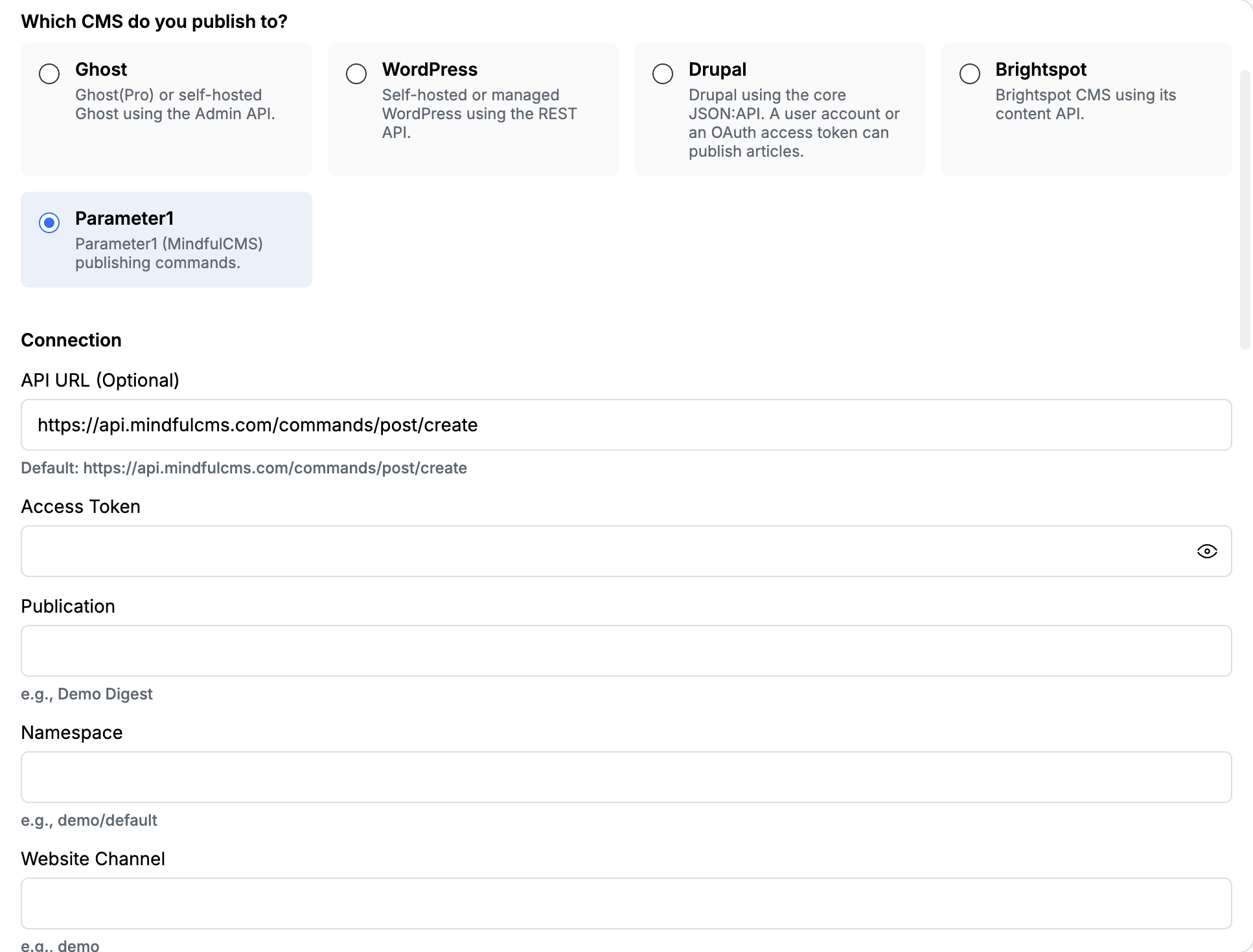 Parameter1 selected with the optional Mindful API URL, Access Token, Publication, and Namespace fields